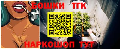 гашик Можга