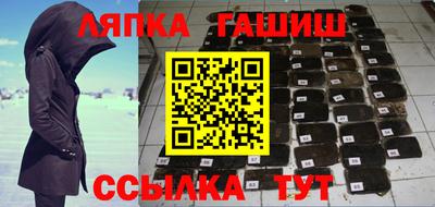 гашик Можга