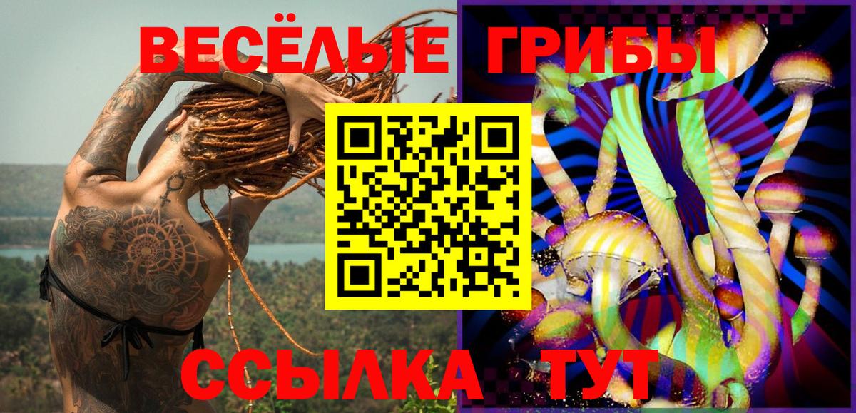Псилоцибиновые грибы MAGIC MUSHROOMS Шебекино