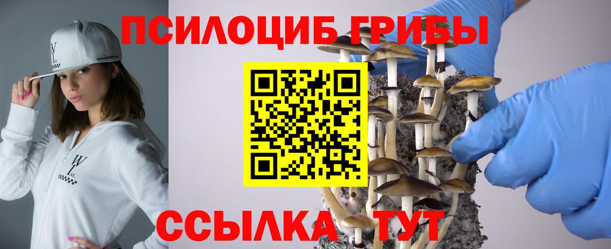 Шебекино  закладки  Вход с VPN  Псилоцибиновые грибы прущие грибы 